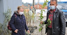 Buca Belediyesi’nden üreticiye 13 çeşit meyve fidanı