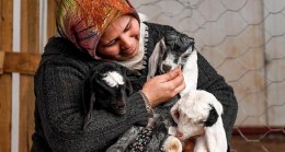 Mersin Büyükşehir’in ‘Haydi Gel Köyümüze Destek Verelim’ Projesi Damızlıklarla Çoğalıyor
