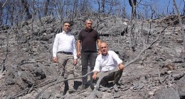 CHP’li Bakan: Yangın sezonu değişmeli ve tüm yıla yayılmalı!