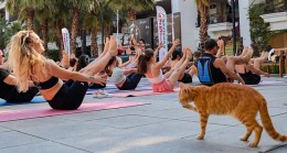 Karşıyaka’da “Dünya Yoga Günü” Buluşması