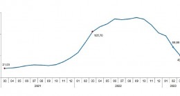 TÜİK: Tarımsal girdi fiyat endeksi (Tarım-GFE) yıllık %49,70, aylık %1,41 arttı