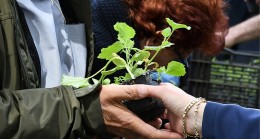 Lüleburgaz Belediyesinin serasında atalık tohumlardan elde ettiği 12 bin 500 adet sebze fidesi 14 Mayıs saat 12.00’da Kongre Meydanında vatandaşla paylaşılacak