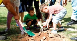 Aydın Büyükşehir Belediyesi’nin çocuk gelişim merkezine devam eden minikler, Dünya Çevre Haftası’nda 100 zeytin ağacı dikti.