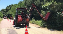 Yol kenarındaki otlar ve çalılar temizleniyor