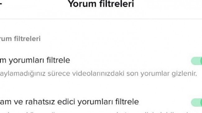 TikTok, Siber Zorbalığa karşı yorum filtreleme özelliğini güncelliyor