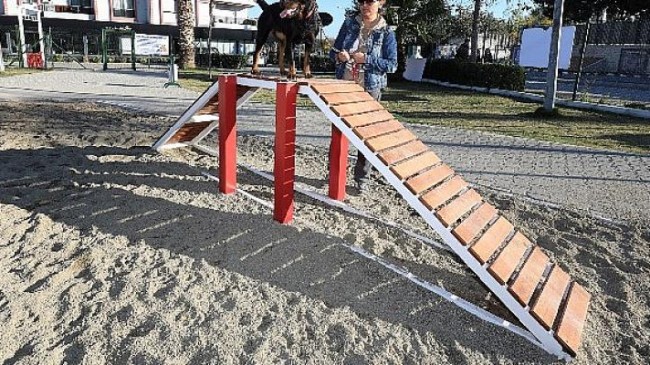 Gaziemir’de köpeklere özel park açıldı