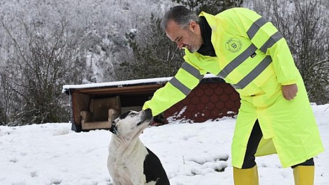 Sokak hayvanları Bursa’da sahipsiz değil