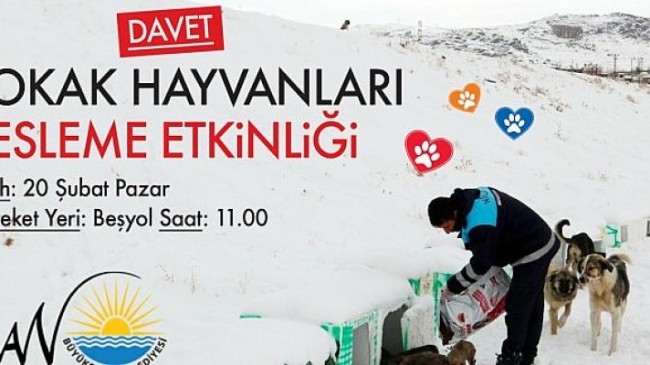 Van Büyükşehir Belediyesi Sokak Hayvanları İçin Beslenme Etkinliği Düzenliyor