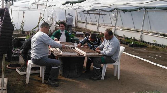 Kemer Belediyesi Ata Tohumları Ekmeye Başladı