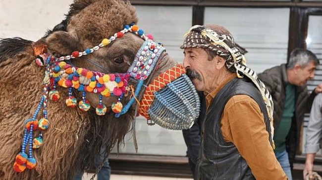 Menemen’de deve gösterisi heyecanı