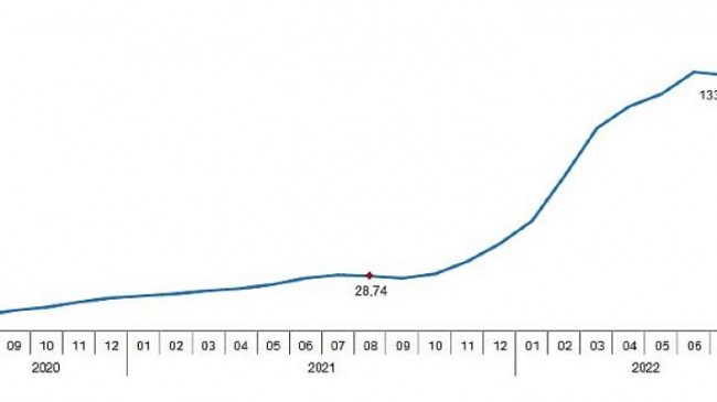 Tarımsal girdi fiyat endeksi (Tarım-GFE) yıllık yüzde 135,06, aylık yüzde 1,64 arttı