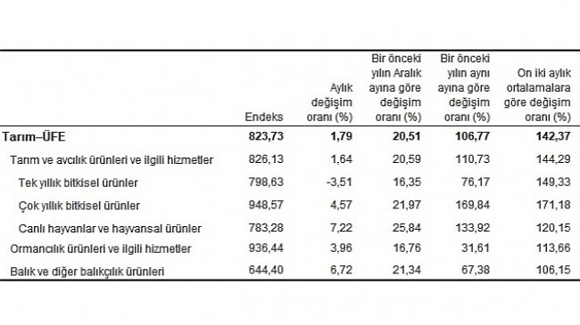 TÜİK: Tarım ürünleri üretici fiyat endeksi (Tarım-ÜFE) yıllık %106,77, aylık %1,79 arttı