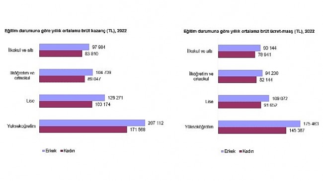 Kazanç Yapısı İstatistikleri, 2022