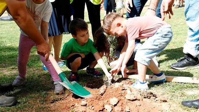 Aydın Büyükşehir Belediyesi’nin çocuk gelişim merkezine devam eden minikler, Dünya Çevre Haftası’nda 100 zeytin ağacı dikti.