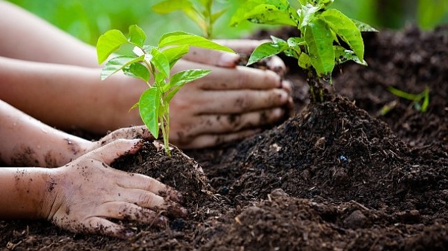 Dünya Çevre Günü’nde TEMA Vakfı’ndan Anlamlı Mesaj: “Bizim toprağımız, bizim geleceğimiz. Biz doğayı onaracak nesiliz!”