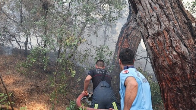 Lara’daki orman yangını kontrol altına alındı