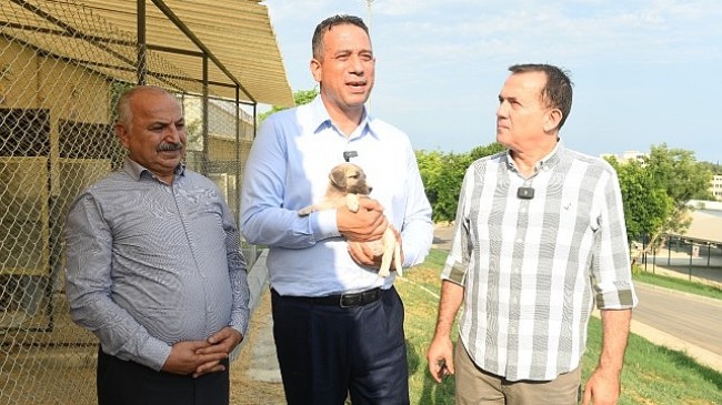 CHP Mersin milletvekilleri Ali Mahir Başarır ile CHP Mersin Milletvekili Talat Dinçer Yenişehir Belediyesinin hayvan bakımevini gezdi