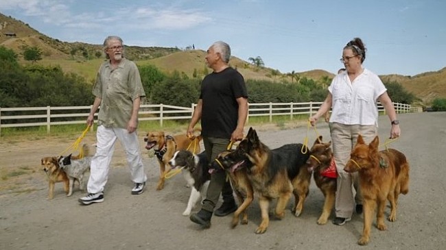 ‘Cesar Millan: İyi İnsan, İyi Köpek’ 12 Ağustos Pazartesi 20.00’de National Geographic WILD Ekranlarında!