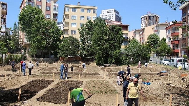 İBB, 2022 yılında başlattığı ‘Halk Bostanları’ projesine devam ediyor