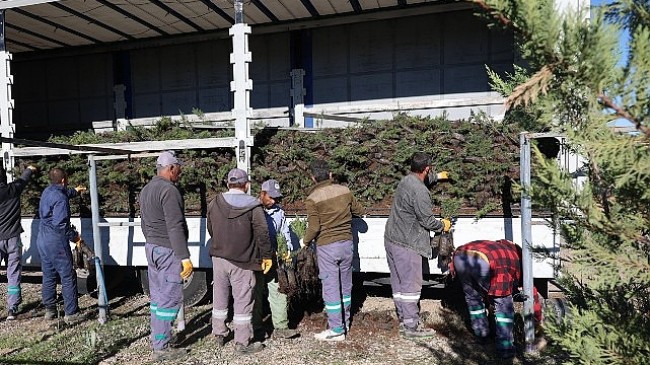 Nevşehir tarihinin en büyük ağaçlandırma seferberliği başlıyor.