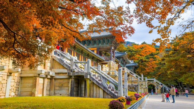 Doğal Güzellikleri, Tarihi Mekanları, Festivalleri ve yaşattığı benzersiz deneyimlerle Sonbahar, Güney Kore’de bir başka güzel…