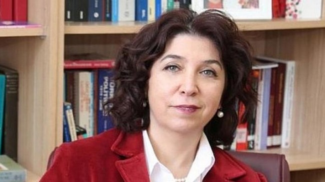 Prof. Dr. Havva Kök Arslan: “Türkiye, doğalgaz geçiş yolu değil enerji merkezi olmaya çalışmalı!”