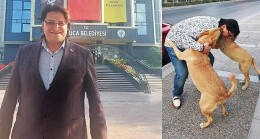 AK Partili İnce’den sokak köpekleri çıkışı