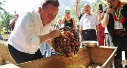 Antalya Gastronomi Festivali'nin İkinci Gününde Mor Üzüm Hasadı