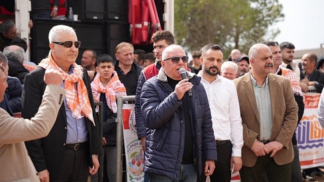 Kemalpaşa'da Boğa Güreşi Festivali