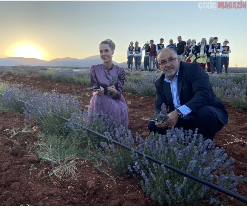 Wilma Elles Lavanta Tarlasında Çifçilerle Hasat Yaptı